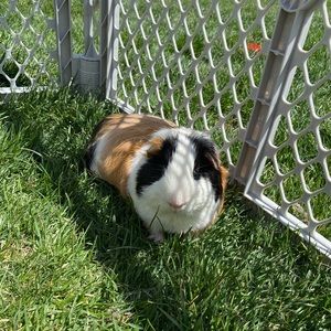 Meet your Posher, Aryn